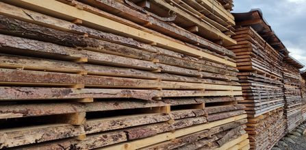 Holz aus Aargauer Wäldern. Nachhaltig und regional.